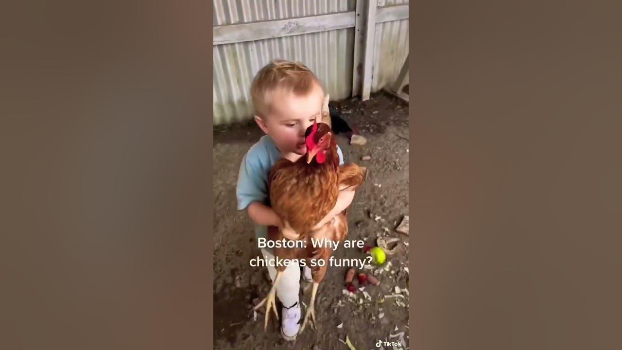 Why chicken so funny !🐣🐣👀👀funny shorts YouTube