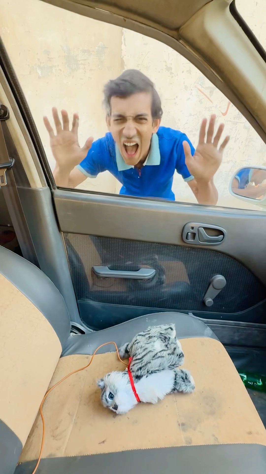 Kitten Cat Locked ? In Car ?|