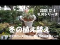 2022.12.4 冬の植え替え