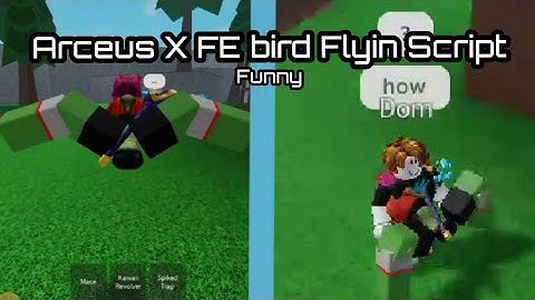 Arceus X FE Bird Flying Script