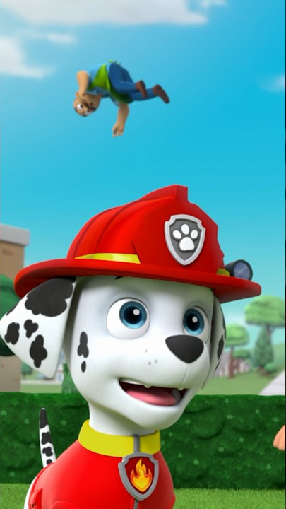 Paw Patrol : La Pat' Patrouille, Marcus s'envole