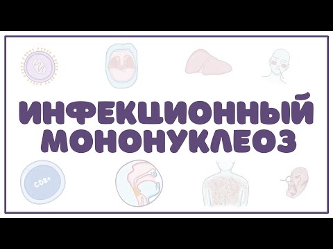 Видео: Какую систему организма поражает мононуклеоз?