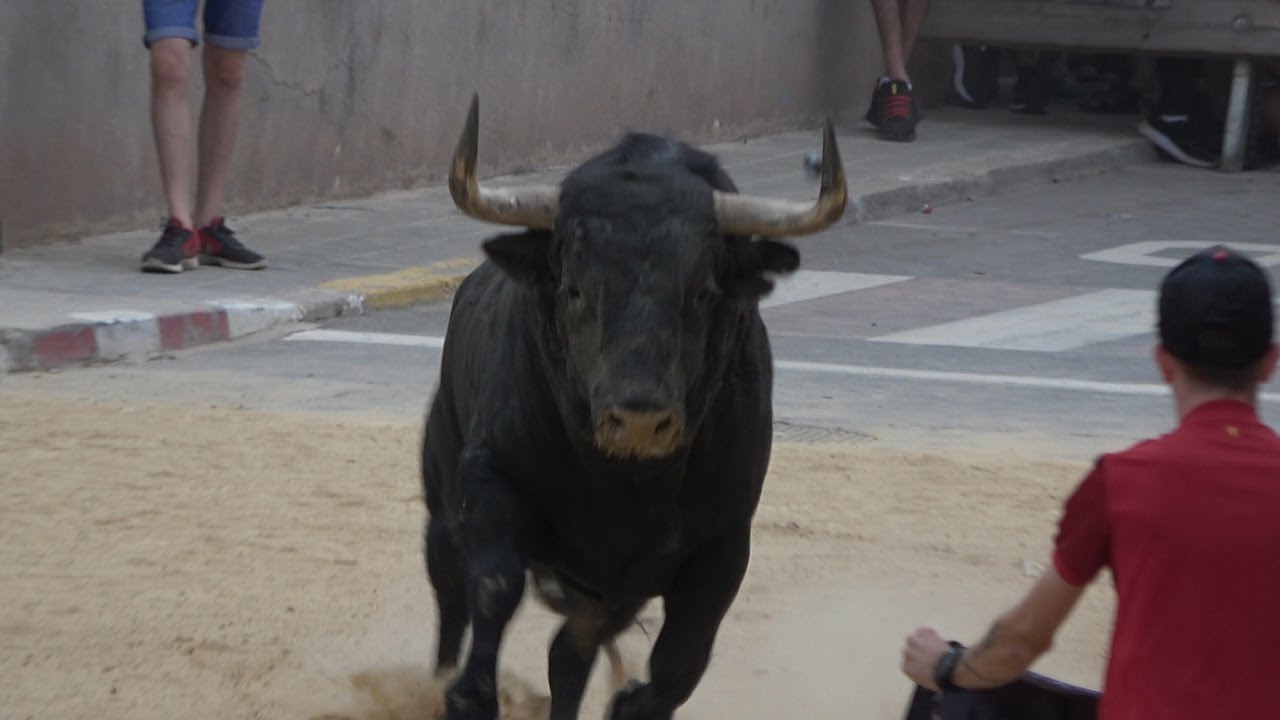 BENIFAIRO 01-09-2022 TOROS DE VICTORIANO DEL RIO Y EL PARRALEJO