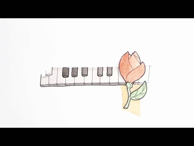 Chopin - Illustrating History