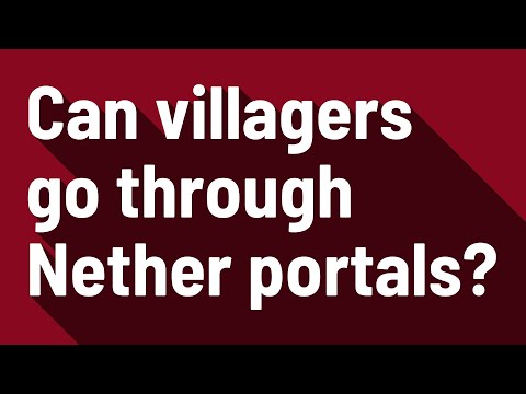 Can villagers go through Nether portals?