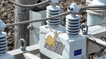 Capacitor Inspections