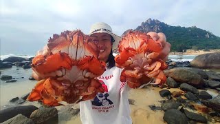 A kind of orange crab, rare, very delicious