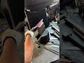 Forged boning and meat cutting knife #shorts