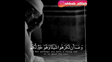 وَعَسَىٰ أَن تَكْرَهُوا شَيْئًا وَهُوَ خَيْرٌ لَّكُمْ ۖ (تلاوه بصوت جميل سورة البقره)🌺💐🎥