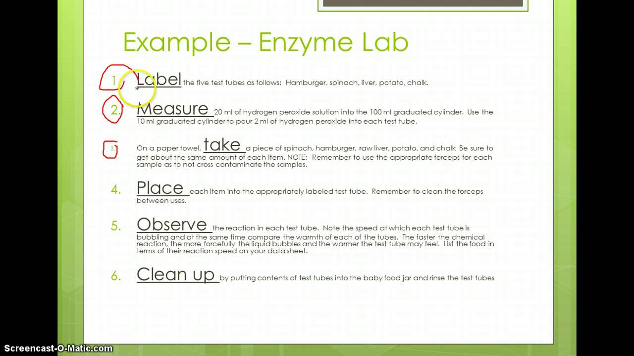 Steps to write a lab procedure