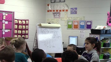 Learning Cycle Lesson