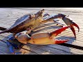 *THE BEST BLUE CRABS ON THE PLANET* (Blue Crab Catch Clean & Cook)