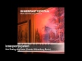 innerpartysystem - Not Getting Any Better (Sander Kleinenberg Remix)