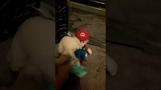 Jeffy Gets Kicked Out 2