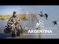 Epic Duck Hunting in Argentina | صيد البط في الأرجنتين