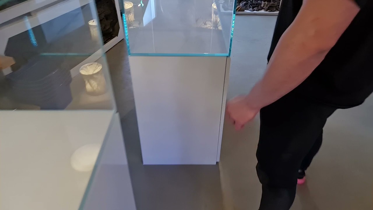 Fredagsfilm - De store Blau Aquascaping akvarier!