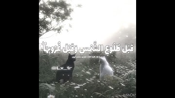 جمعة طيبة. #محمد_ايوب #قرآن #يوم_الجمعة #fypシ゚viral #fypage #holyquran #quran #سورة_طه #fyp 