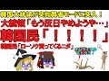 【ゆっくり解説】韓国大統領が反日を政治利用しないように呼び掛け！「日本は数十回謝罪」と正しい認識を示す…何か変なモノでも食べたのか？【オムライス】