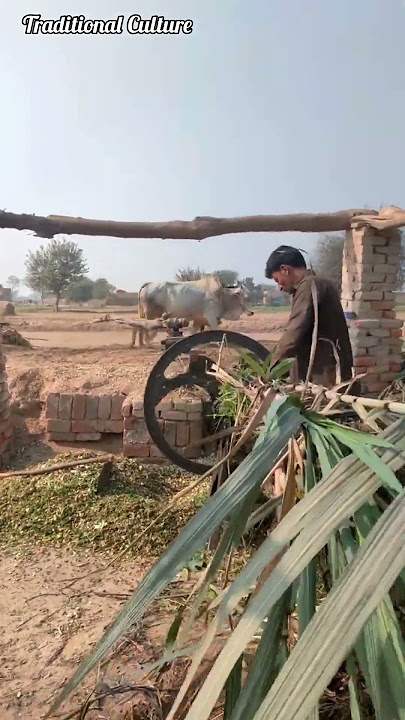 Traditional Tokka Machine #shorts #short #shorfeed #shortsfeed #youtubeshorts #virtualreality #viral