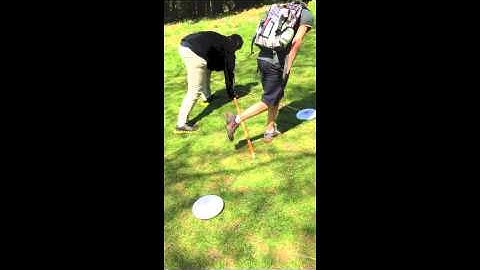 Scatterplots-Line of best Fit