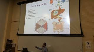 Path Liver Diseases (audio correction)