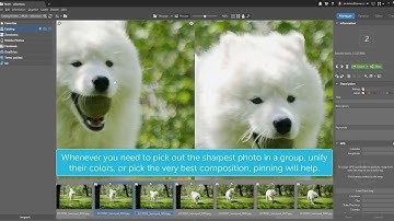 How to Work with Multi-selections