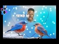 Nasty C - SMA (Feat Rowlene) Lyrics