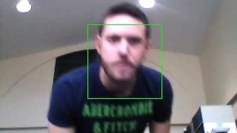 Face Detection based on Chamfer matching & Mean Shift 1/6