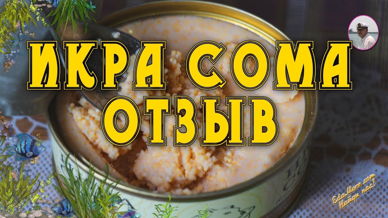 Икра сома видео отзыв от Petr de Cril'on