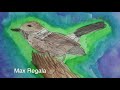 Fall 2018 Malama Hawaiian Birds Art Contest - with music