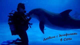 Дельфинарий в Сочи, дайвинг и плавание с дельфинами, Большой сочинский дельфинарий / Diving in Sochi
