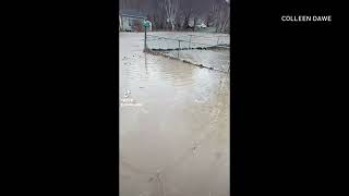 Owner looks on as water gushes down road, yard and near basement door in C.B.S.