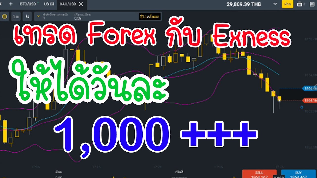 เทรด Forex กับ Exness ให้ได้วันละ 1,000+++ สำหรับมือใหม่