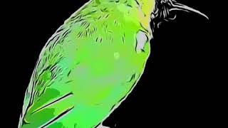 Download Lagu Suara terakhir gantarawang Download Lagu Suara terakhir gantarawang