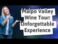How does maipo valley offer the best wine tour experience in chile