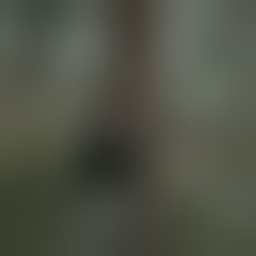 konco gathel story wa