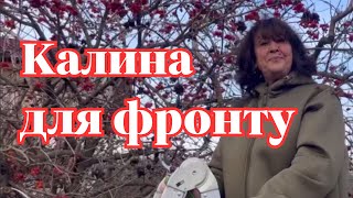 Наталя Фаліон - Калина для фронту