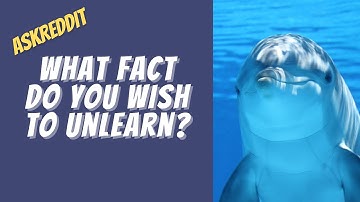 What is a disturbing fact you wish you could un-learn? - AskReddit Ask Reddit Stories.