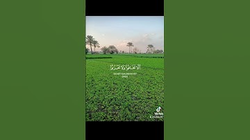 #اكسبلور #لايك #القرآن_الكريم ﴿   سورة فصلت﴾    أَلا تَخَافُوا وَلا تَحْزَنُوا