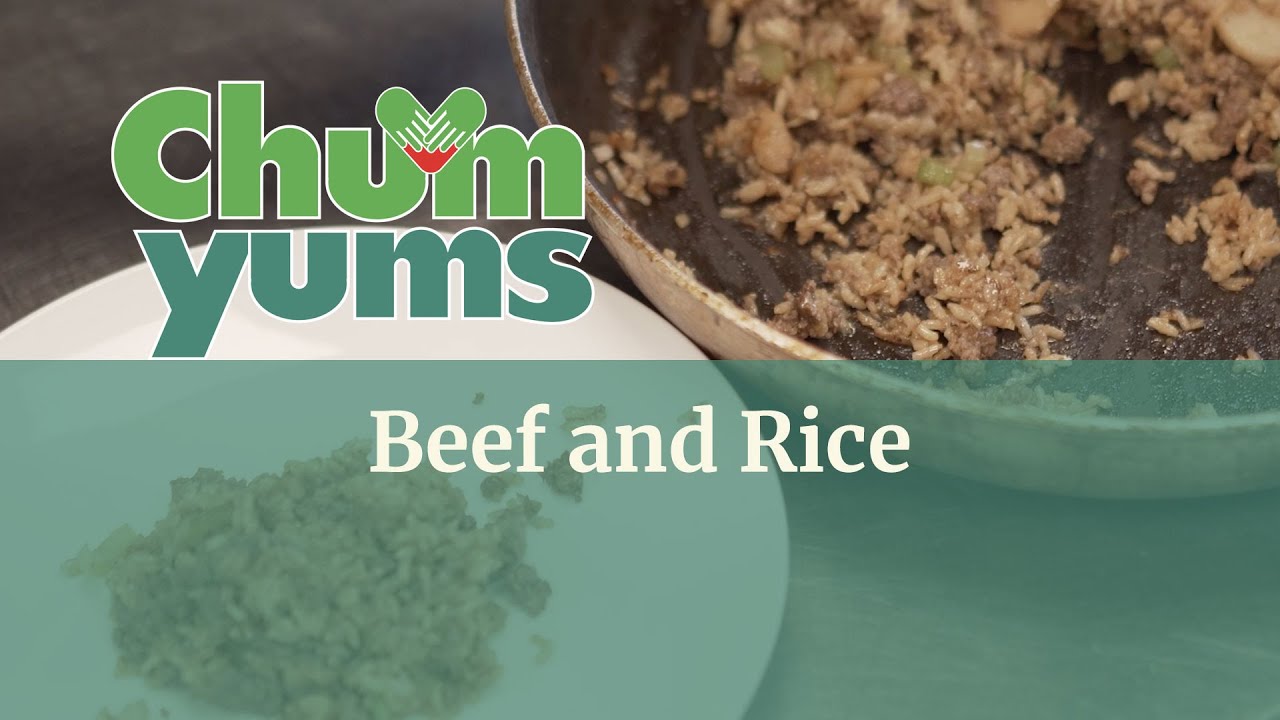 ChumYums Beef and Rice 