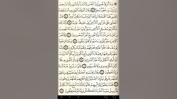 ماهر المعيقلي سورة يوسف مكتوبة صفحة 242 مصحف المدينة المنورة جودة عالية