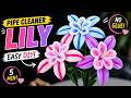 🌸 Pipe Cleaner Lily DIY | Easy 🔥 Only 5 Minutes!