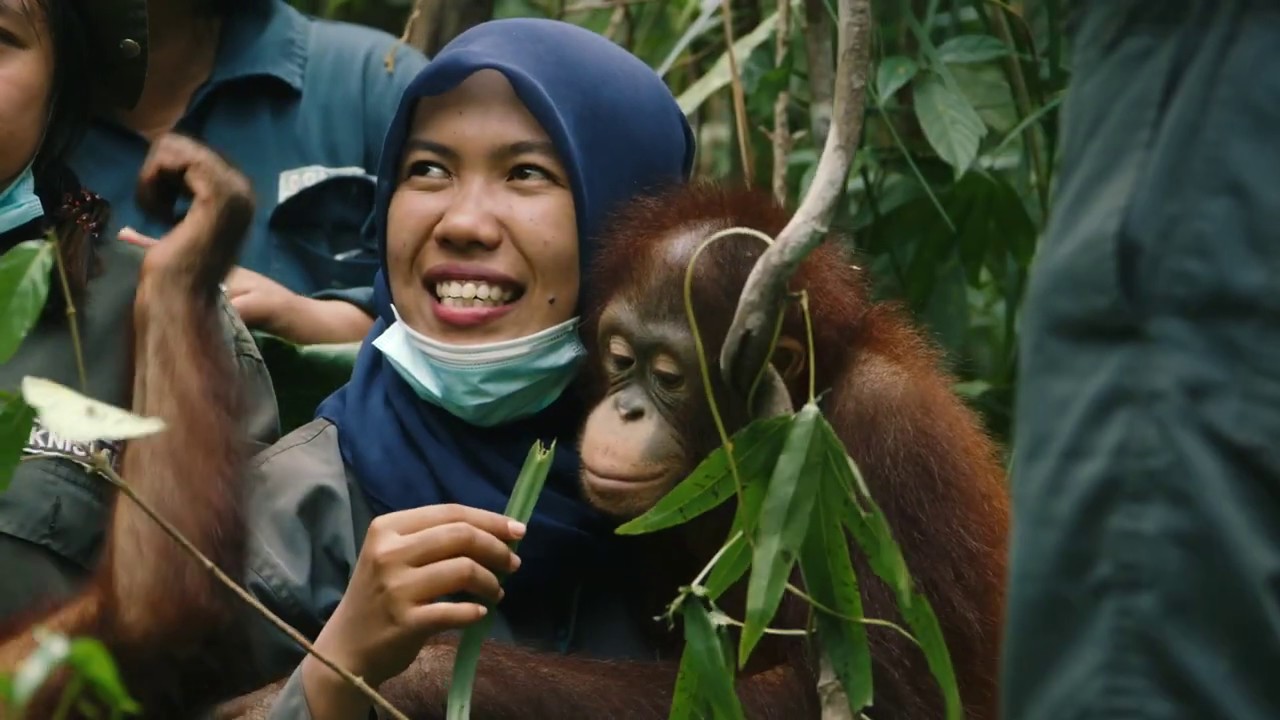 BOS Schweiz stellt sich vor