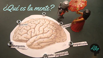 ¿Qué función cumple la mente en el ser humano?