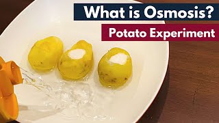 What is Osmosis? | Potato Experiment | Biology