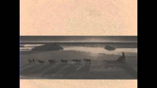 Kolya- Iditarod