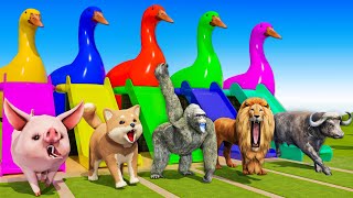 5 GIANT DUCK & Paint Animals Pig Dog Gorilla Lion Buffalo T-Rex Transfiguration funny animal 2023