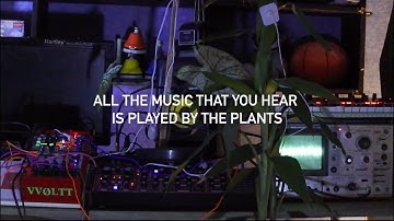 How to Make Music Generated by Plants