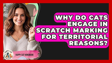 Why Do Cats Engage In Scratch Marking For Territorial Reasons? - Happy Cat Handbook
