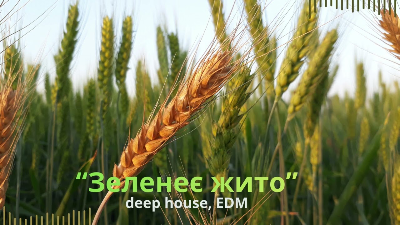 Зеленеє жито 🌾 | Deep House Version | Українська народна пісня в сучасному звучанні